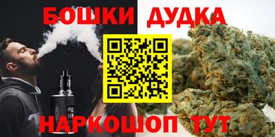индика Балашиха