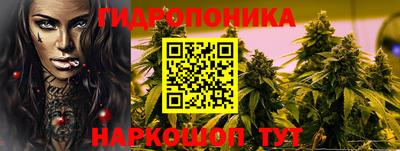 индика Балашиха