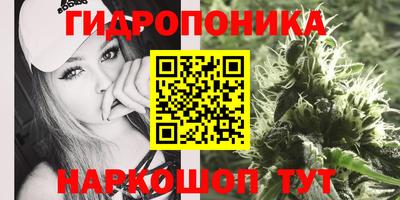 индика Балашиха