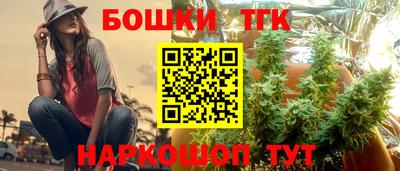 индика Балашиха