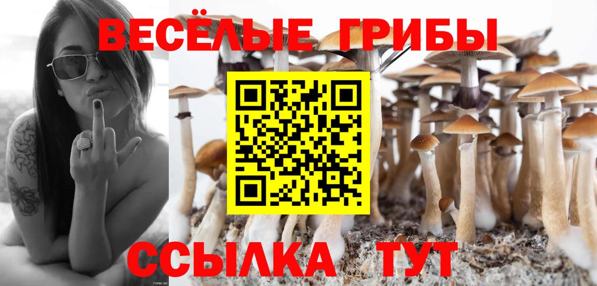 Балабаново  наркота  Вход с VPN  Галлюциногенные грибы мицелий 